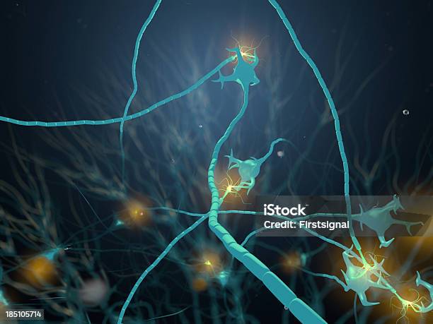 Neurónio Activa - Fotografias de stock e mais imagens de Anatomia - Anatomia, Axónio, Biologia