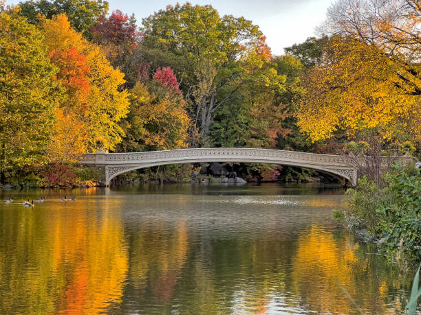 istock Bow bridge in late autumn 1851057327