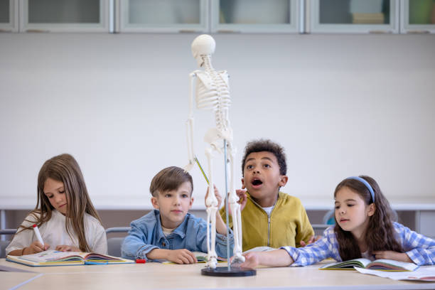 istock Excited children studying human skeleton in classroom at school. 1851059480