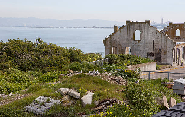 istock Alcatraz Island Buildings 185106045