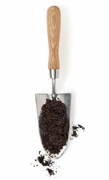 Photo of Compost on a Trowel