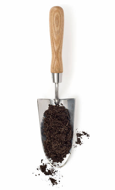 компост на кельма - trowel shovel gardening equipment isolated стоковые фото и изображения