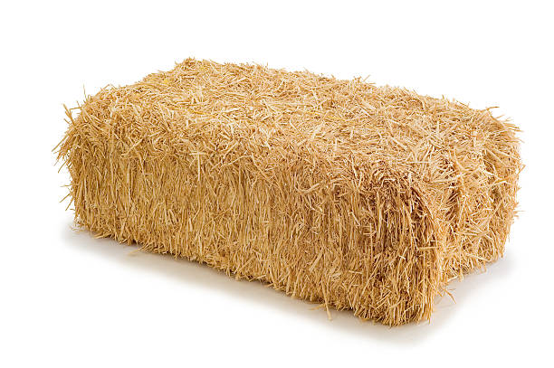 There's "A bail of hay, isolated on white." bale photos stock pictures, royalty-free photos & images