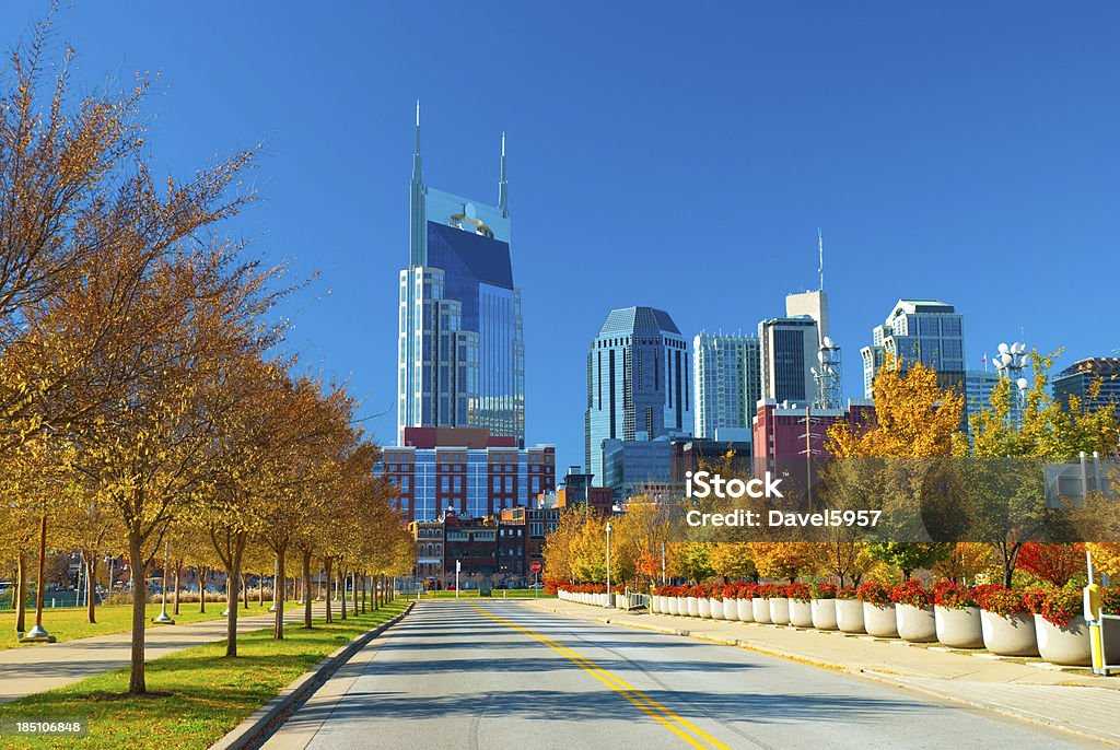 Vista de los edificios de Nashville y de caída plantas - Foto de stock de Nashville libre de derechos