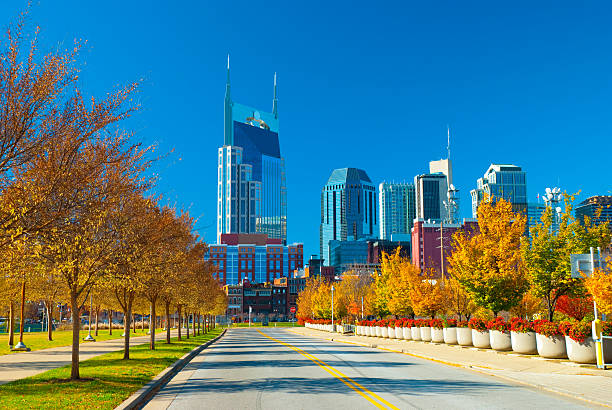 Nashville skyline and Fall Plants