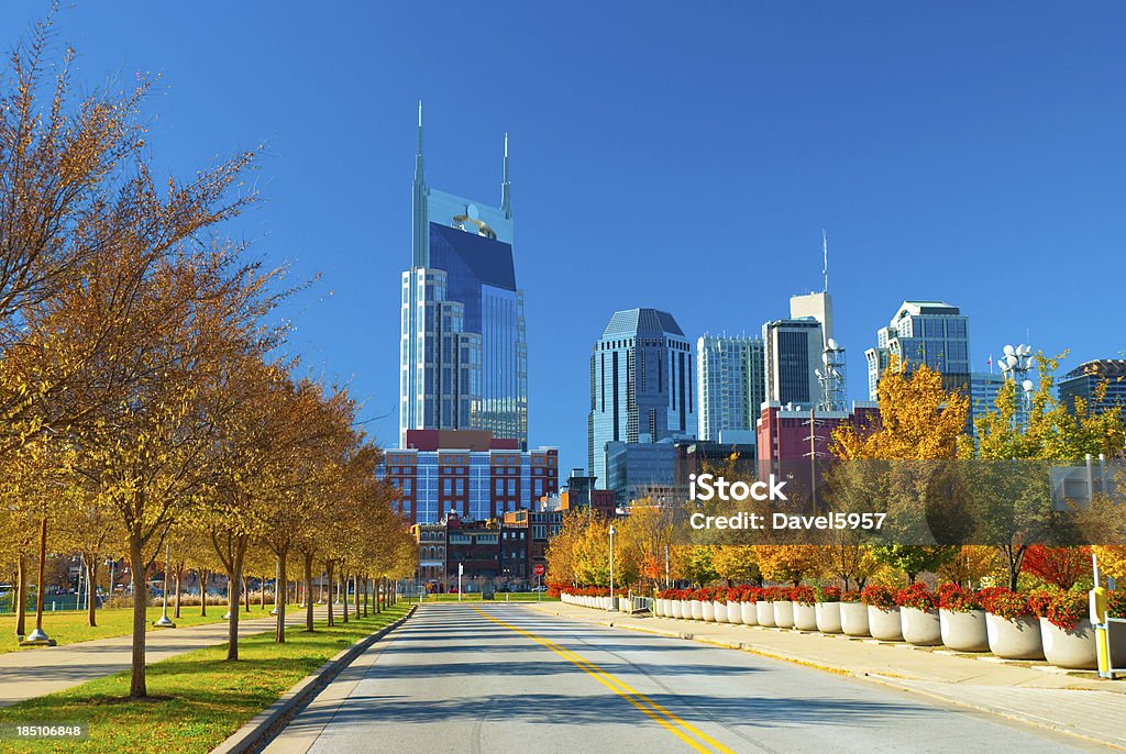 Nashville skyline and Fall Plants Nashville skyline with fall trees and other plants in the foreground. Nashville Stock Photo