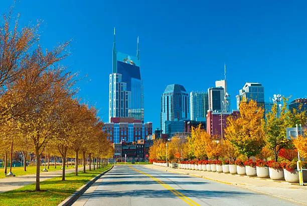 Nashville skyline with fall trees and other plants in the foreground.