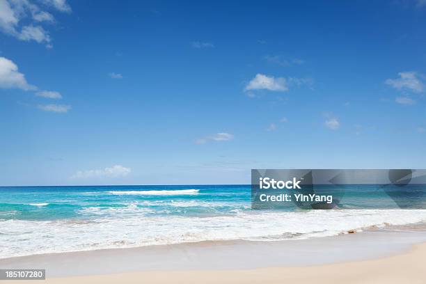 Paraíso Tropical Praia De Kauai Havai Polihale - Fotografias de stock e mais imagens de Ao Ar Livre - Ao Ar Livre, Areia, Destino de Viagem