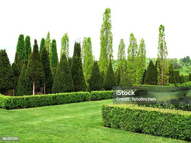 Wonderful Garden Stockfoto und mehr Bilder von Buchsbaum - Buchsbaum, Gartengestaltung, Hecke
