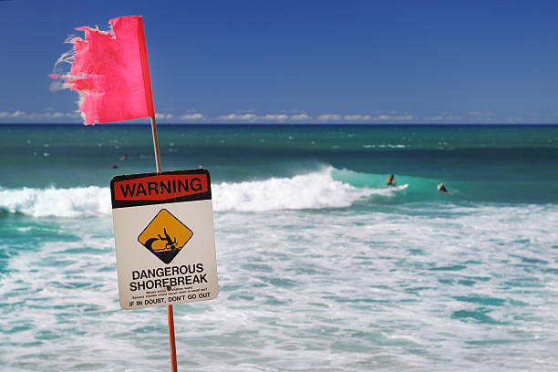 istock Surfers at North Shore Oahu, Hawaii 185107496