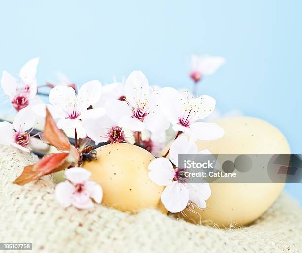 Huevos De Pascua Y Flor De Cerezo Foto de stock y más banco de imágenes de Arpillera - Arpillera, Arreglo, Azul