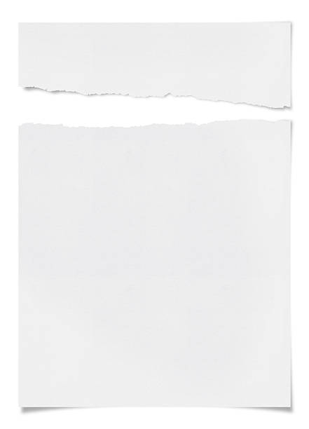 Livro Branco mangona - fotografia de stock