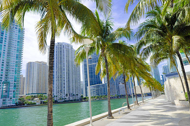 istock Walkway along water at Miami River in Florida 185108518