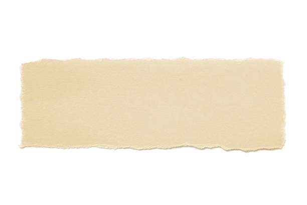 torn brown  paper stock photo