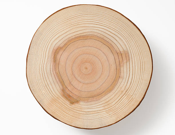 istock Isolated shot of tree cross section on white background 185108669