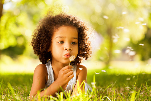 Cute little girl busy blowing Dandelion seeds while relaxing in the park. Horizontal Shot.