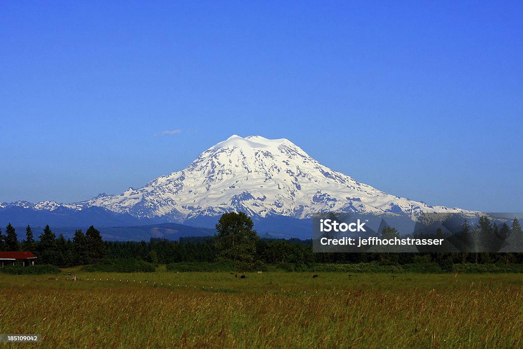 Monte Rainier - Foto de stock de Beleza natural - Natureza royalty-free