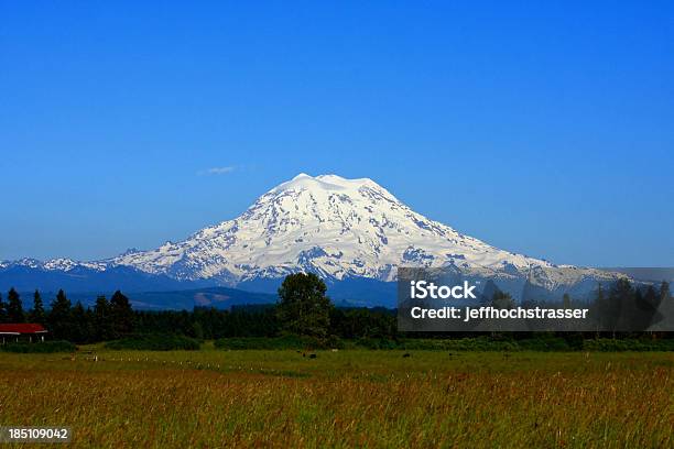 Monte Rainier - Fotografias de stock e mais imagens de Beleza natural - Beleza natural, Campo agrícola, Celeiro