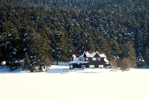 Haus in der Nähe von Wald im winter – Foto