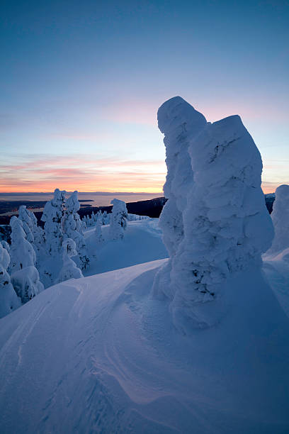 monte seymour atardecer - mt seymour provincial park fotografías e imágenes de stock