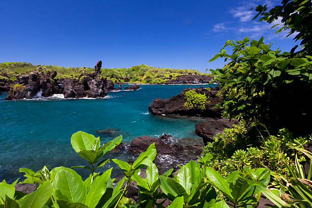 idílica bay con mar azul, maui, hawai - traffel fotografías e imágenes de stock