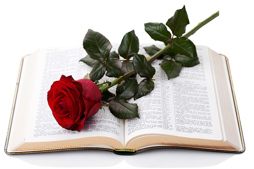Bible and rose isolated on white