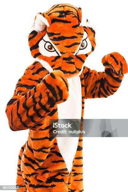 Studioaufnahme Von Einer Nicht So Wilden Tiger Stockfoto und mehr Bilder von Kostümierung - Kostümierung, Tiger, Bühnenkostüm