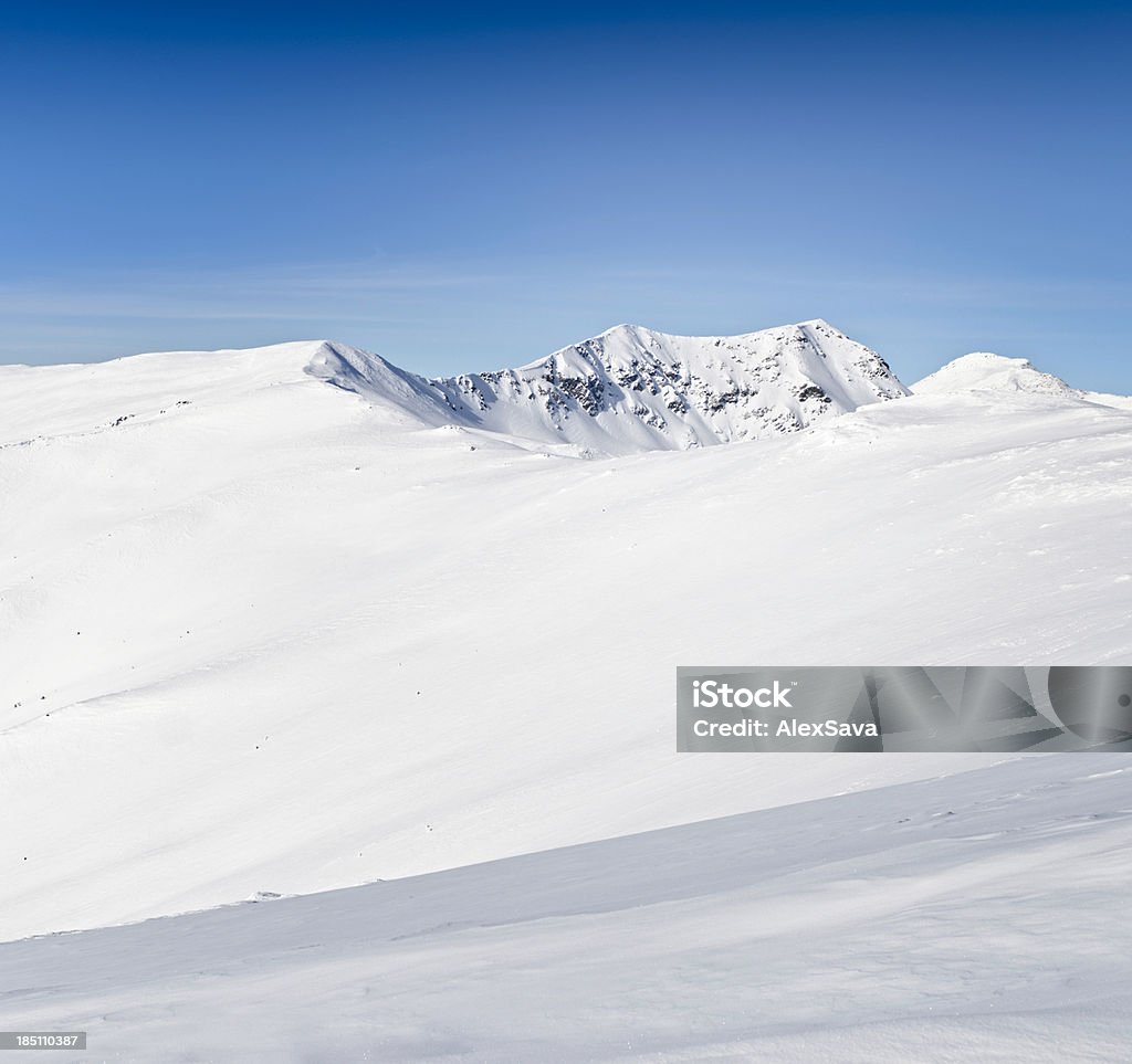 간단한 아름다운 겨울맞이 풍경 - 로열티 프리 0명 스톡 사진