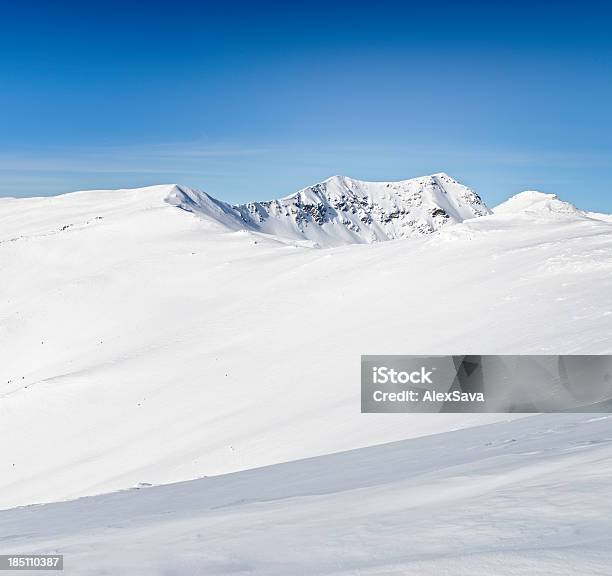 간단한 아름다운 겨울맞이 풍경 0명에 대한 스톡 사진 및 기타 이미지 - 0명, 가리기, 겨울