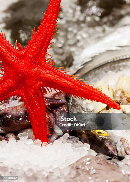 Frutos Do Mar No Gelo No Mercado Do Pescado - Fotografias de stock e mais imagens de Alimentação Saudável - Alimentação Saudável, Animal, Apanhar - Atividade Física