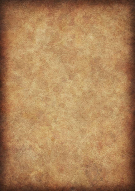 istock High Resolution Antique Animal Skin Parchment Vignette Grunge Texture 185111239