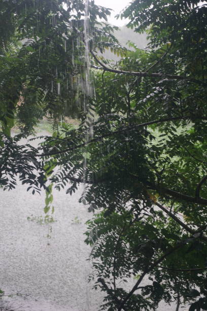 istock the rain in pond 1851115586