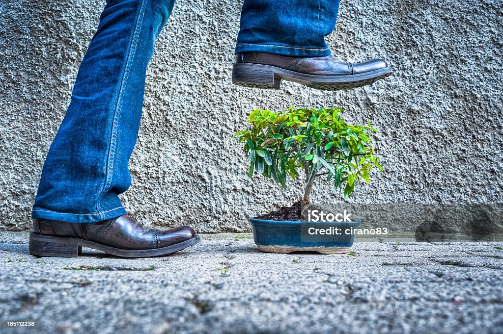 Man Stomping A Green Little Plant Man stomping a green little plant. Destruction Stock Photo