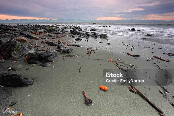 Zachodnie Wybrzeże - zdjęcia stockowe i więcej obrazów Bez ludzi - Bez ludzi, Brzeg wody, Charakterystyka brzegu