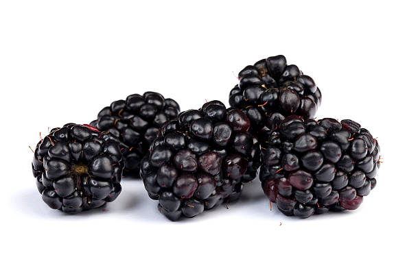 blackberry - blackberry fruit mulberry isolated zdjęcia i obrazy z banku zdjęć