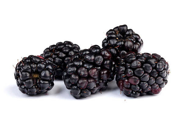 blackberry - blackberry fruit mulberry isolated - fotografias e filmes do acervo