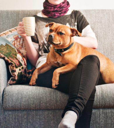 young woman and a dog on the sofa.