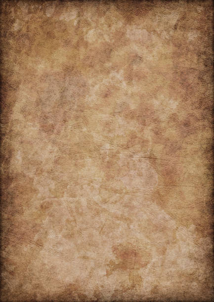 istock High Resolution Ancient Animal Skin Parchment Vignette Grunge Texture 185112514