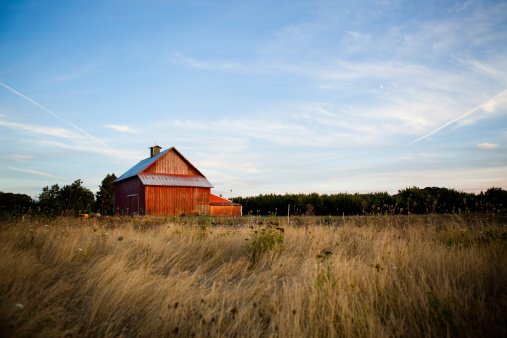 Horizontal image of a country red barn on the pasture on a beautiful summer night.More of this barn: