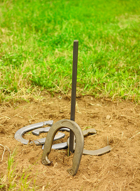 horse shoes the game stock photo