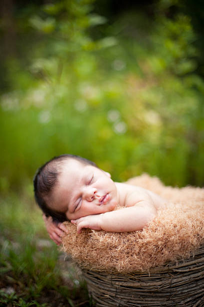 istock Newborn Baby Sleeping Peacefully Outdoors, in Basket, With Copy Space 185113174