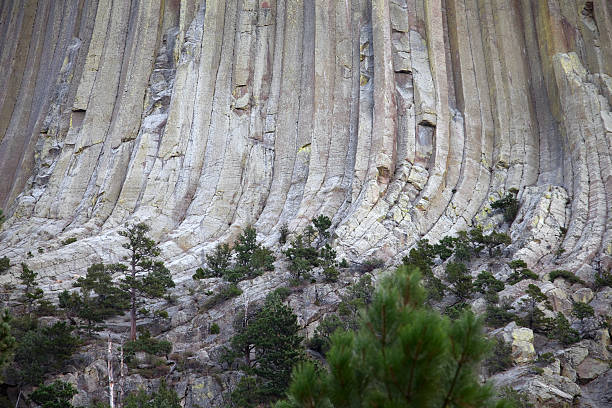 istock Base of Devil's Tower Nat'l Monument, WY 185113487