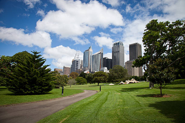 istock Sydney CBD cityscape seen from the park 185113587