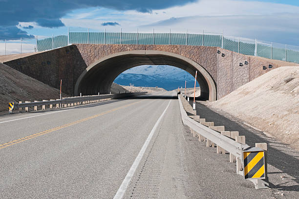 istock Bridge for wildlife over highway in Nevada 185113662