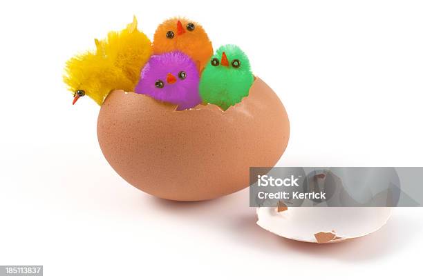 Bunte Chicks Blick Auf Ein Easter Egg Stockfoto und mehr Bilder von Bizarr - Bizarr, Bunt - Farbton, DNA