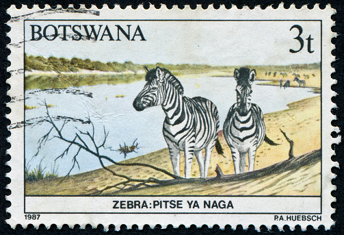 Cancelled Stamp From Botswana Featuring The Zebra