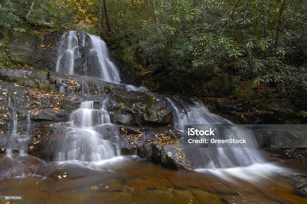 Laurel 폴즈 (Great Smoky Mountains National Park - 로열티 프리 가을 스톡 사진