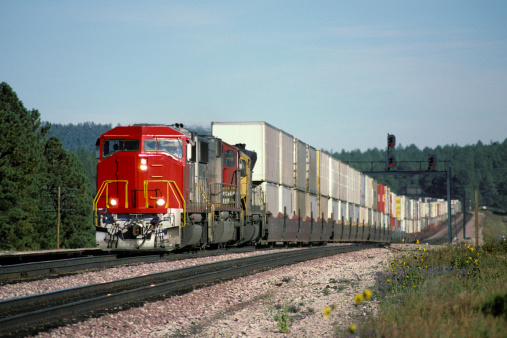 A long double stack container train hauled by a bright red locomotive speeds eastward through a forest of conifers.  Headlights and ditch lights are on for safety.  Logos and trademarks removed.  Copy space.