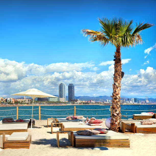 istock Sunloungers on beach in Barcelona, Spain 185115408