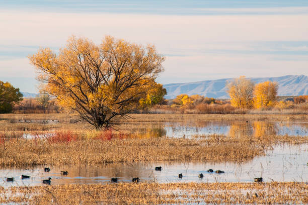 National Wildlife Reserve in Autumn
